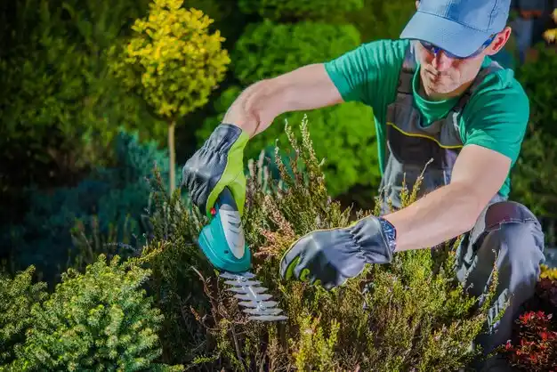 landscaping services South Point